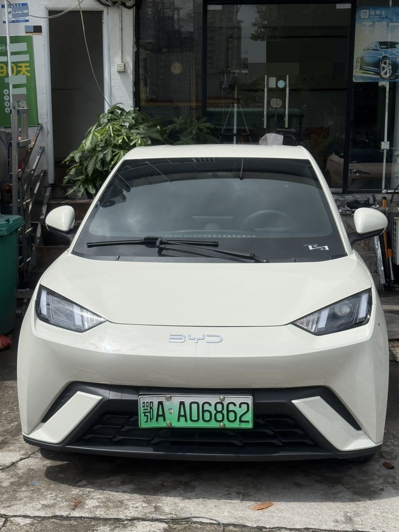 BYD Seagull 2024 car image #2