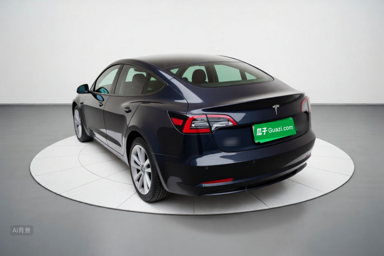 Tesla Model 3 2021 #5 Tesla Model 3 2021 car image #5