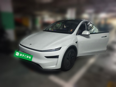 Tesla Model Y 2025 car image 