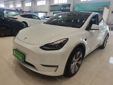 Tesla Model Y 2021 Tesla Model Y 2021 car image