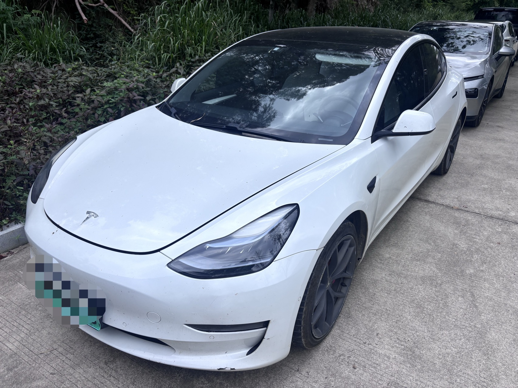 Tesla Model 3 2021 Tesla Model 3 2021 car image