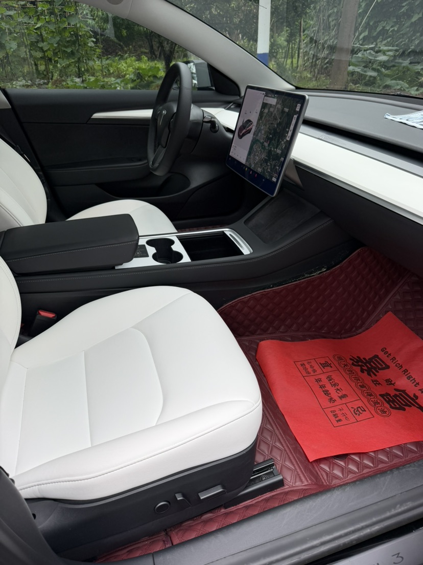 Tesla Model 3 2021 car image #6