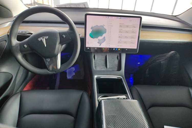 Tesla Model 3 2021 car image #10