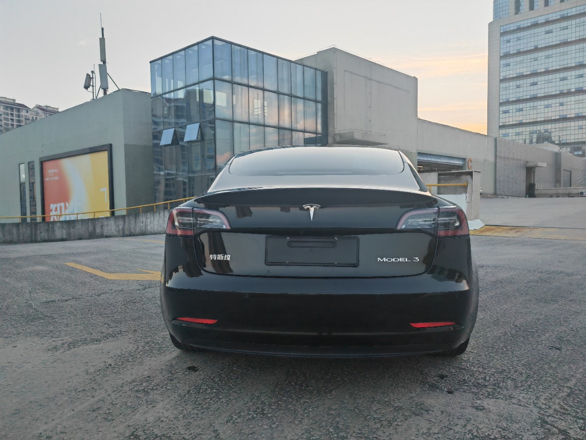Tesla Model 3 2020 #5 Tesla Model 3 2020 car image #5