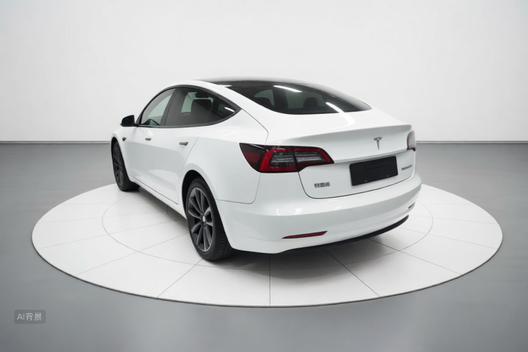 Tesla Model 3 2021 car image #5