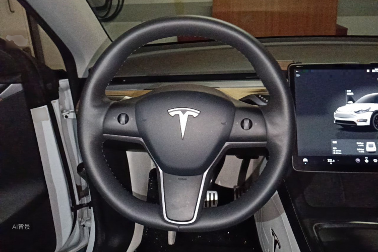 Tesla Model Y 2023 #12 Tesla Model Y 2023 car image #12