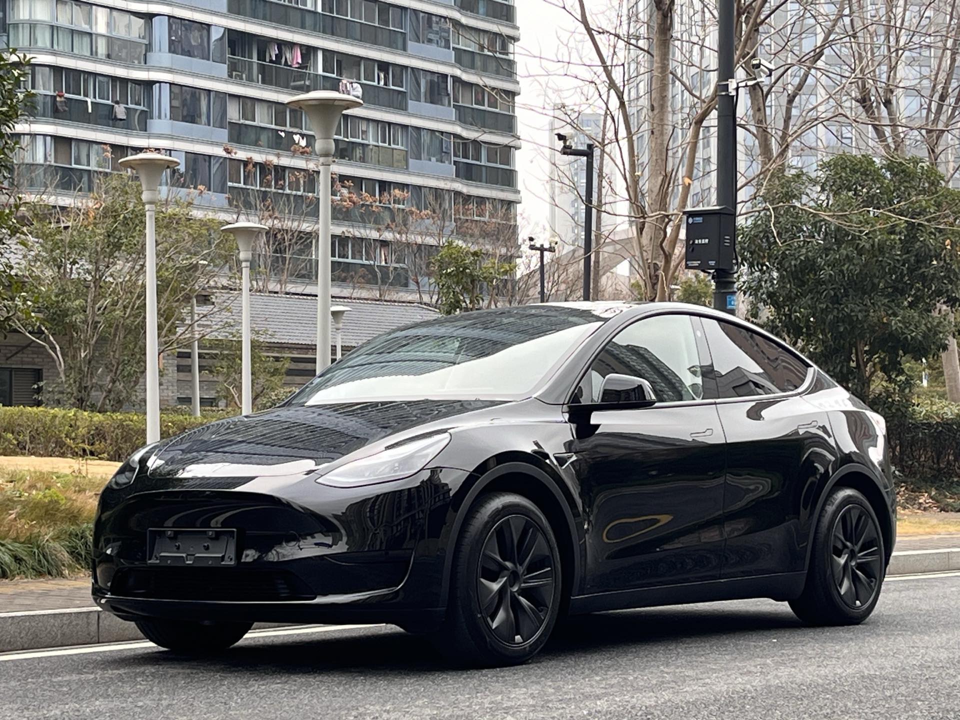 Tesla Model Y 2024 car image 