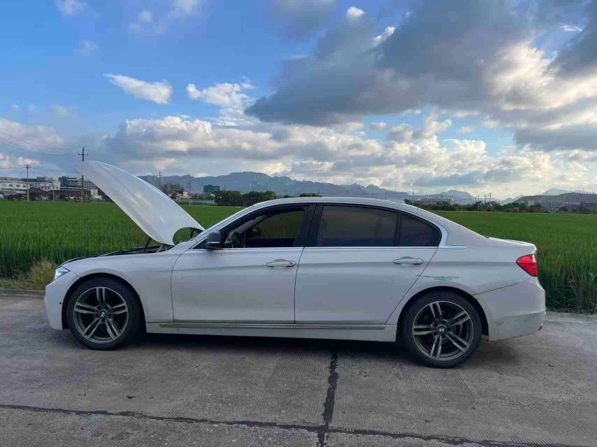 BMW 3 Series 2014 car image #4