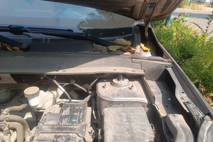 Chery Tiggo 5x 2023 #27 Chery Tiggo 5x 2023 immagine di auto #27