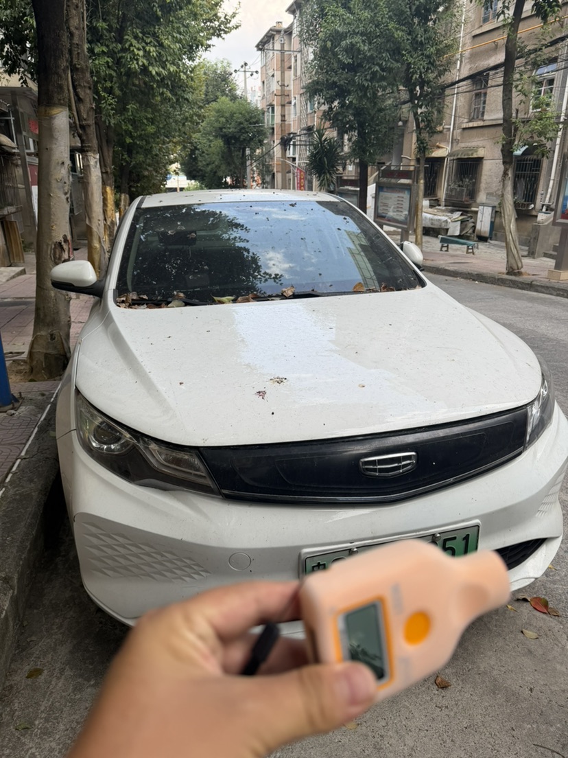 GEELY Emgrand New Energy 2023 car image #6