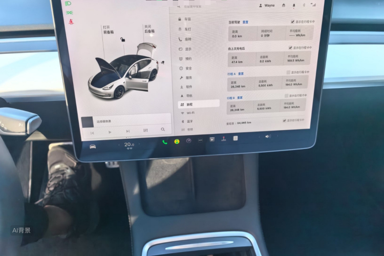 Tesla Model 3 2021 car image #15