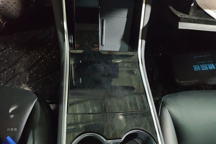 Tesla Model 3 2020 car image #16