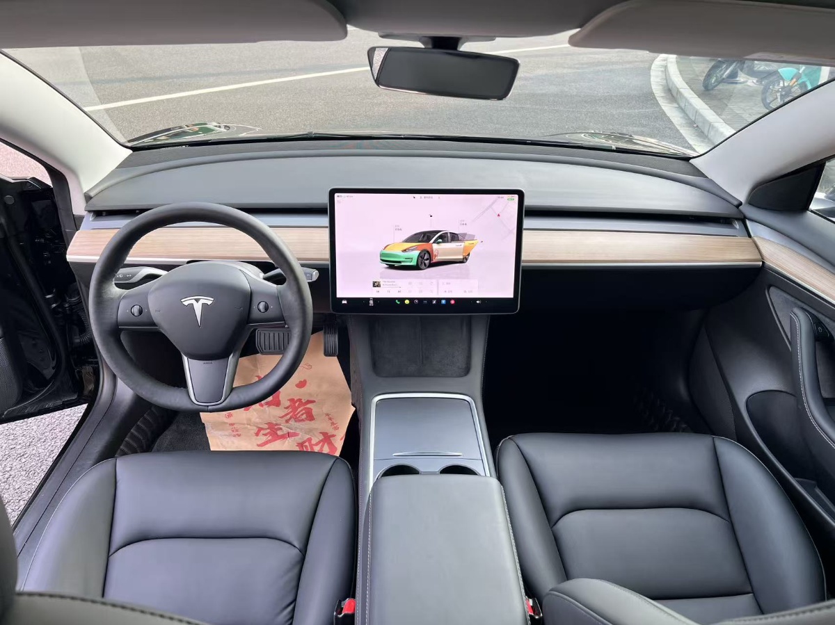 Tesla Model 3 2022 car image #6