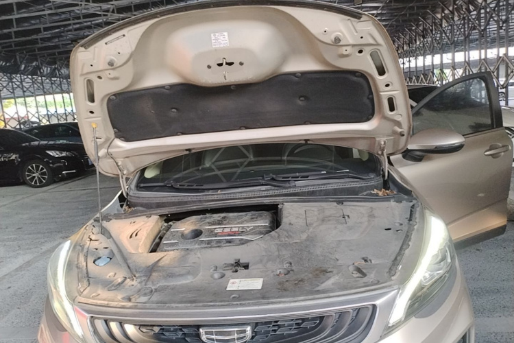 GEELY Emgrand GS 2020 #20 GEELY Emgrand GS 2020 car image #20