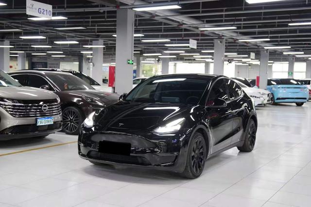 Tesla Model Y 2023 #11 Tesla Model Y 2023 car image #11