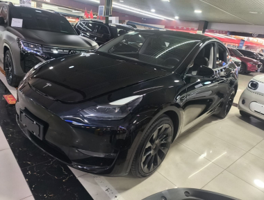 Tesla Model Y 2021 Tesla Model Y 2021 car image