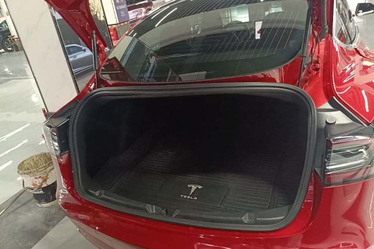 Tesla Model 3 2020 car image #19