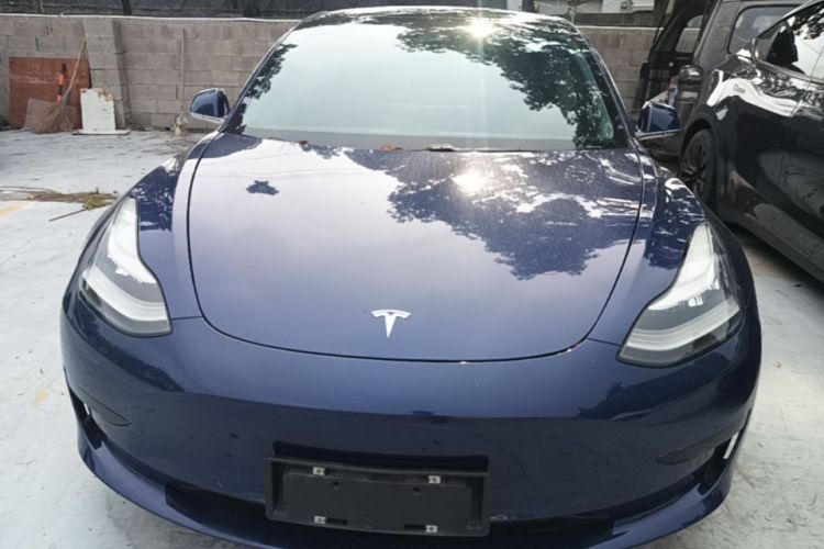 Tesla Model 3 2020 immagine di auto #3
