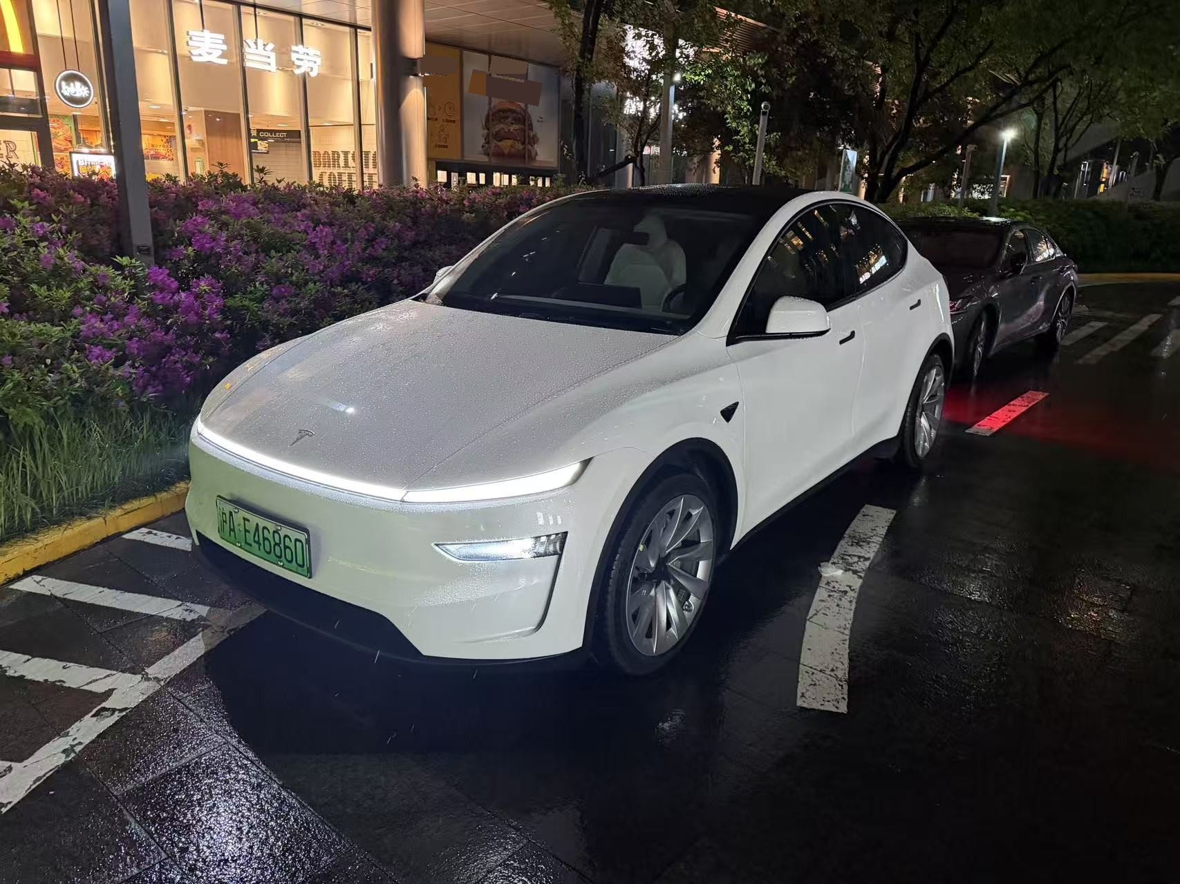 Tesla Model Y 2025 car image 
