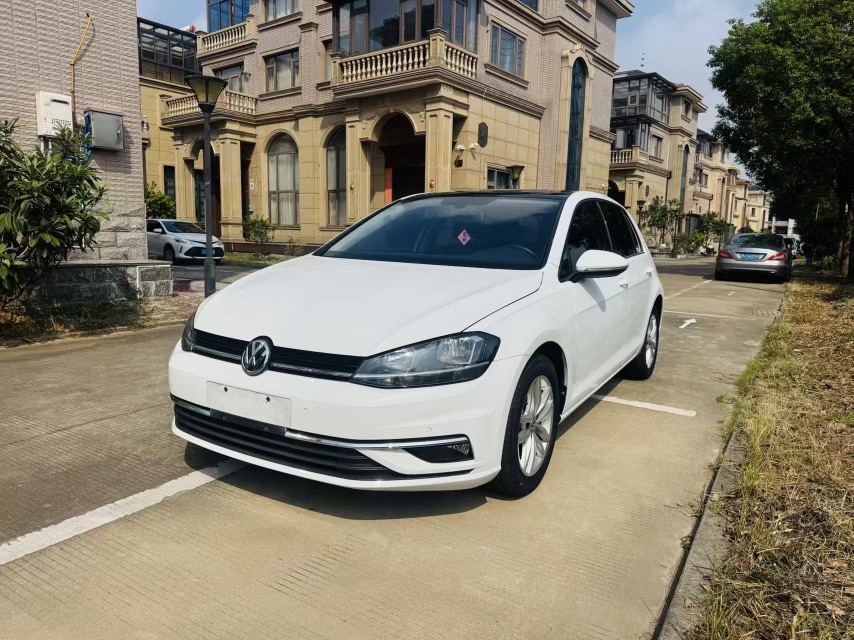Volkswagen Golf 2019 Volkswagen Golf 2019 car image