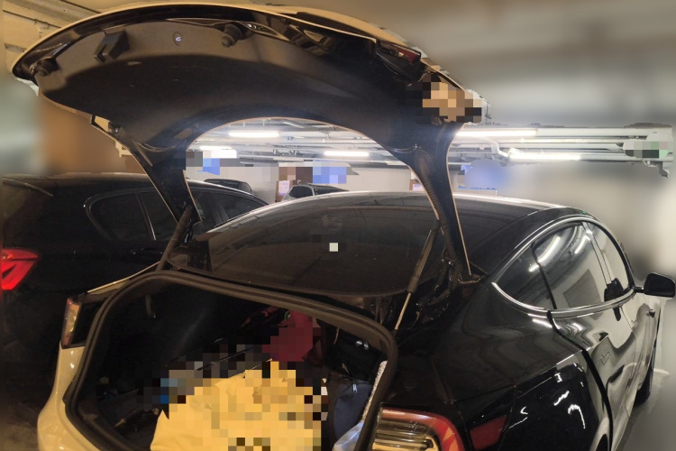Tesla Model 3 2022 #18 Tesla Model 3 2022 car image #18