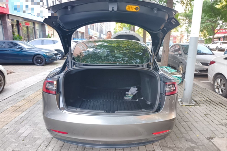 Tesla Model 3 2021 car image #19