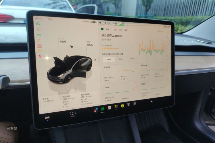 Tesla Model 3 2022 immagine di auto #13
