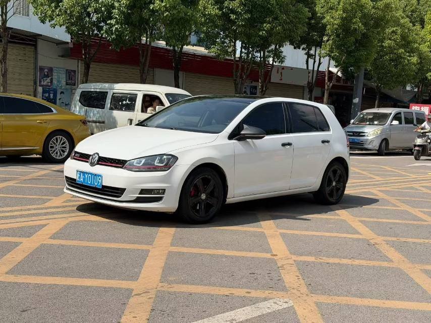 Volkswagen Golf 2014 car image 