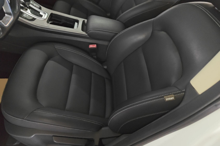 GEELY Emgrand GS 2017 #15 GEELY Emgrand GS 2017 car image #15