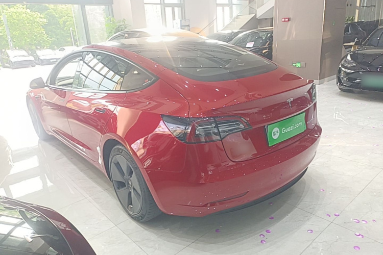 Tesla Model 3 2021 immagine di auto #5