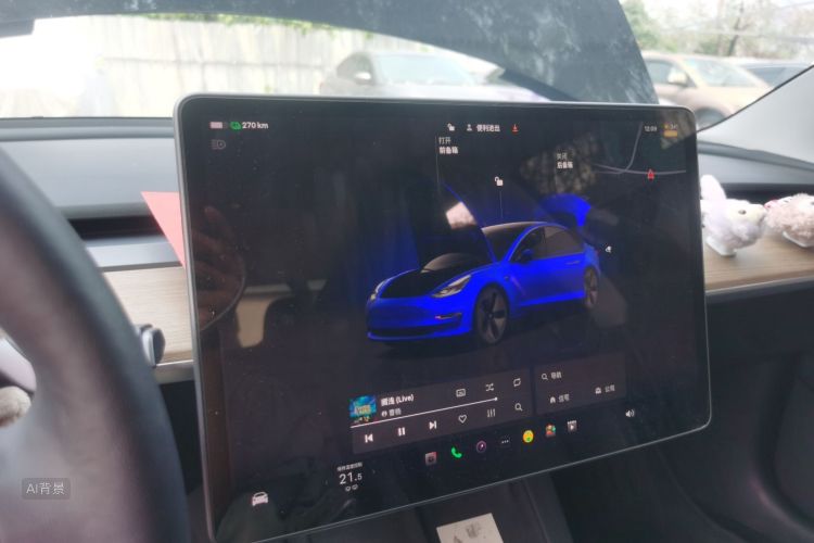 Tesla Model 3 2022 #13 Tesla Model 3 2022 car image #13