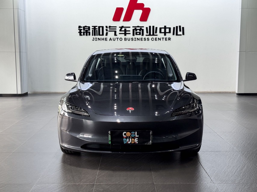 Tesla Model 3 2024 car image #2