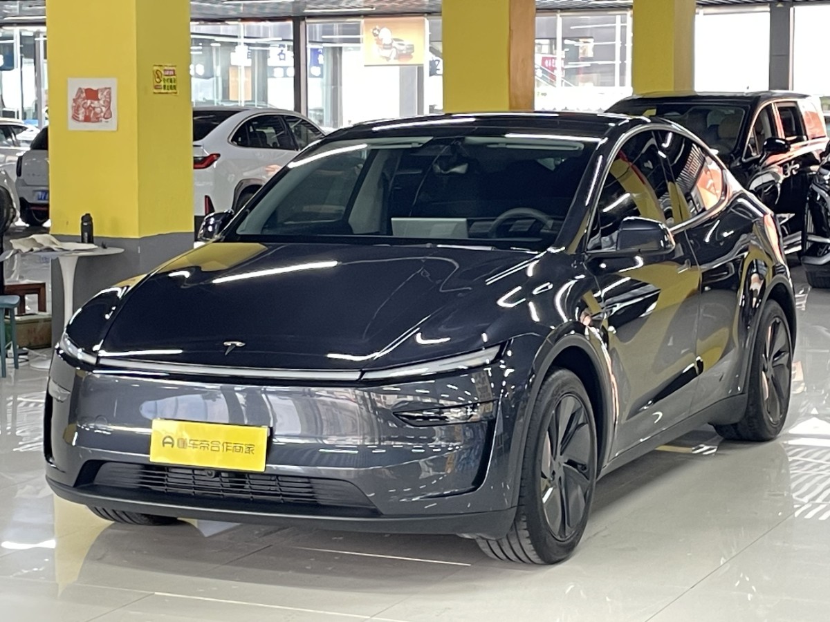 Tesla Model Y 2025 car image 