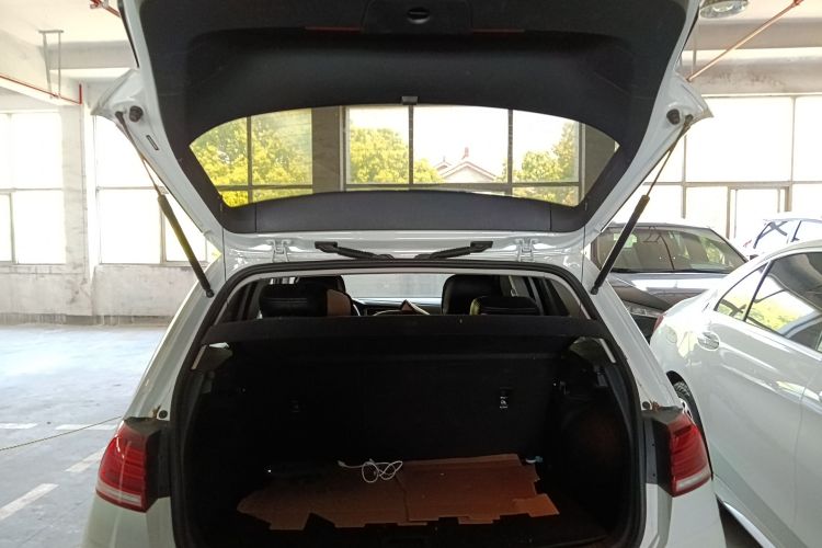 Volkswagen Golf 2020 imagen de coche #19