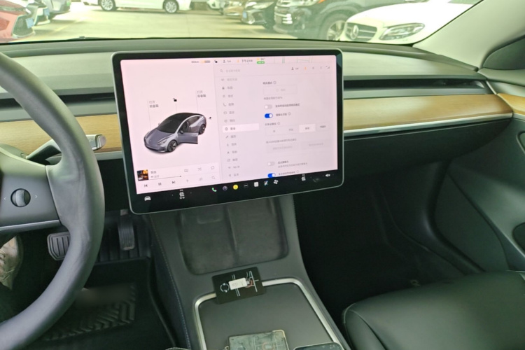 Tesla Model 3 2021 car image #10