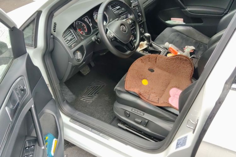 Volkswagen Golf 2018 car image #13