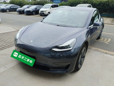 Tesla Model 3 2020 Tesla Model 3 2020 car image