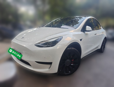 Tesla Model Y 2022 car image 