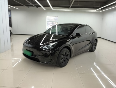 Tesla Model Y 2023 car image 