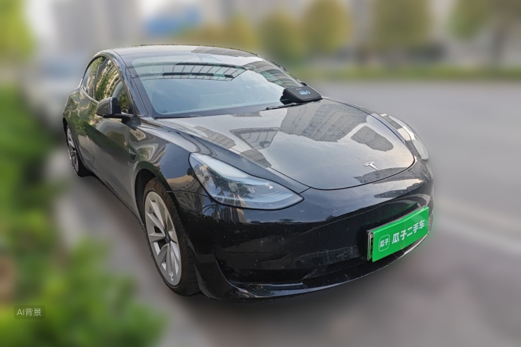 Tesla Model 3 2022 #4 Tesla Model 3 2022 car image #4