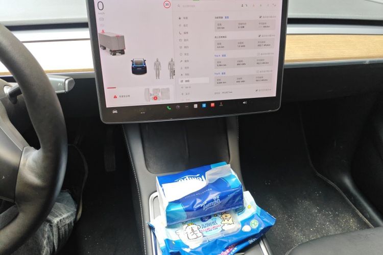 Tesla Model Y 2021 #13 Tesla Model Y 2021 car image #13