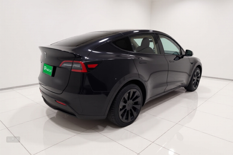 Tesla Model Y 2022 immagine di auto #7