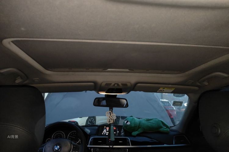 BMW 3 Series 2017 car image #20