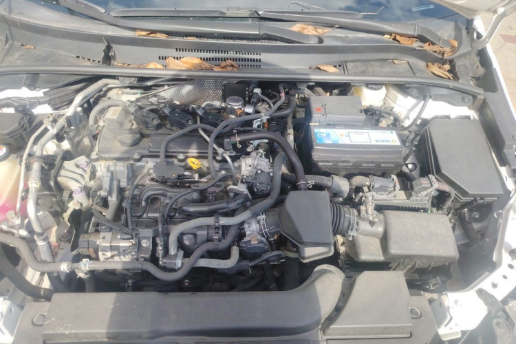 Toyota Corolla 2021 car image #18