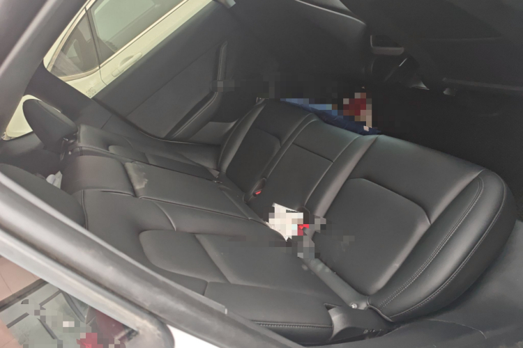Tesla Model Y 2024 car image #14