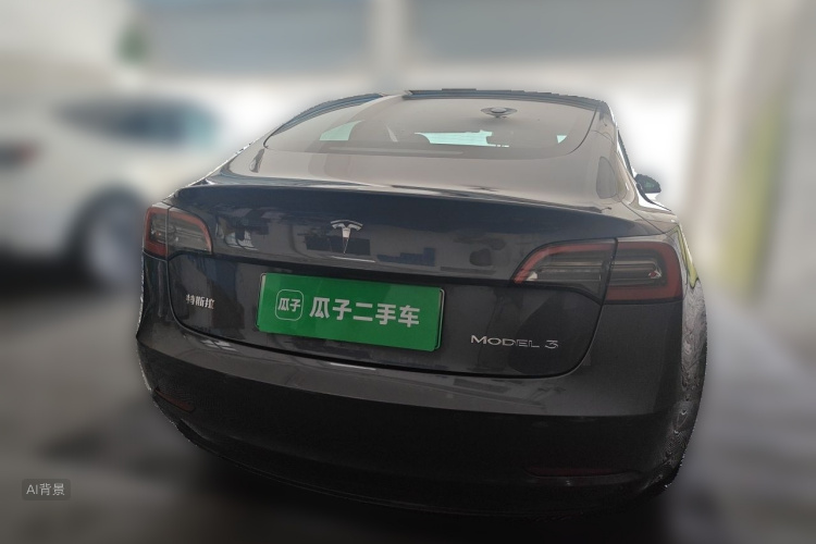 Tesla Model 3 2021 car image #6