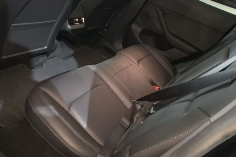 Tesla Model Y 2023 #13 Tesla Model Y 2023 صورة سيارة #13