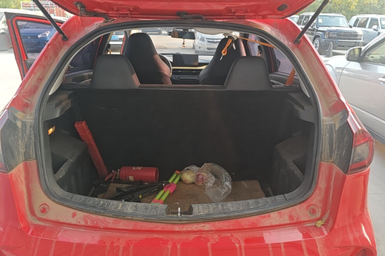Livan X3 PRO 2023 imagem de carro #19