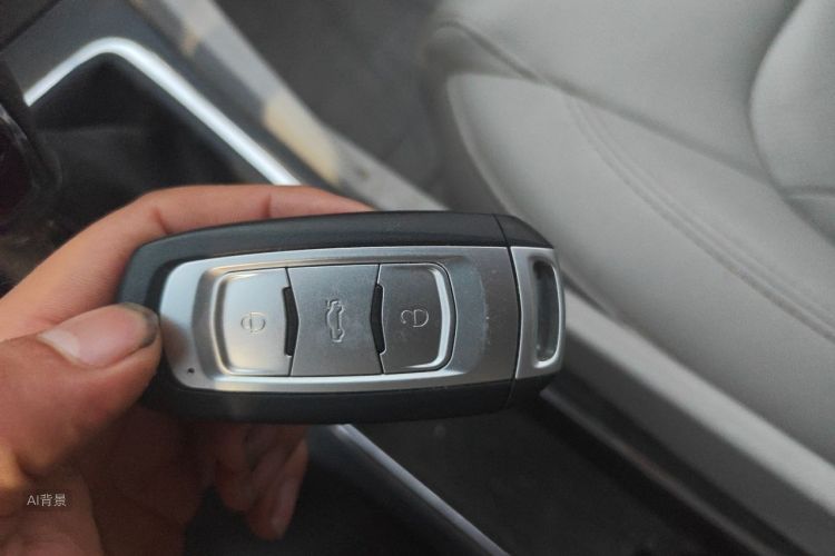 GEELY Emgrand 2016 car image #10