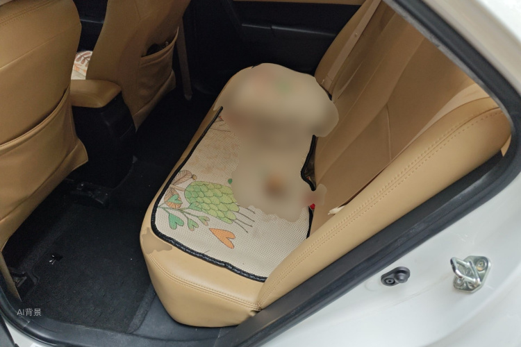 Toyota Corolla 2019 #19 Toyota Corolla 2019 car image #19